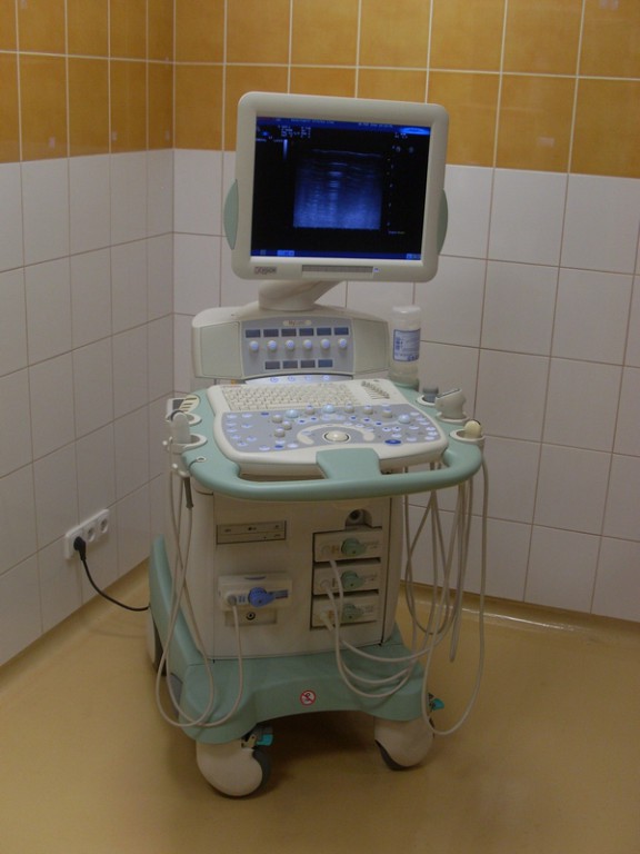 Sonografie na klinice LIVE VET